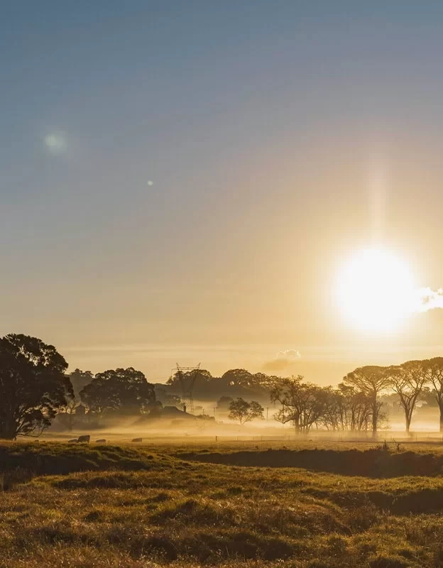 nsw CPGEstates evergreencalderwood-624x800px